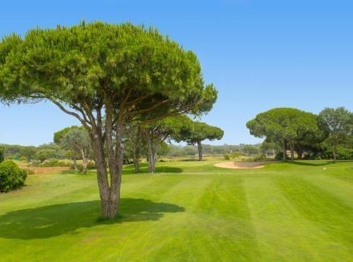 Novo Sancti Petri Golf Course