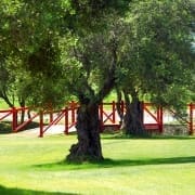 Campano Golf Course