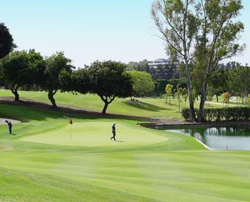 Los Naranjos Golf Course