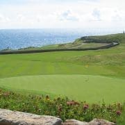 THE OLD HEAD GOLF LINKS