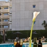 NH Marbella Hotel